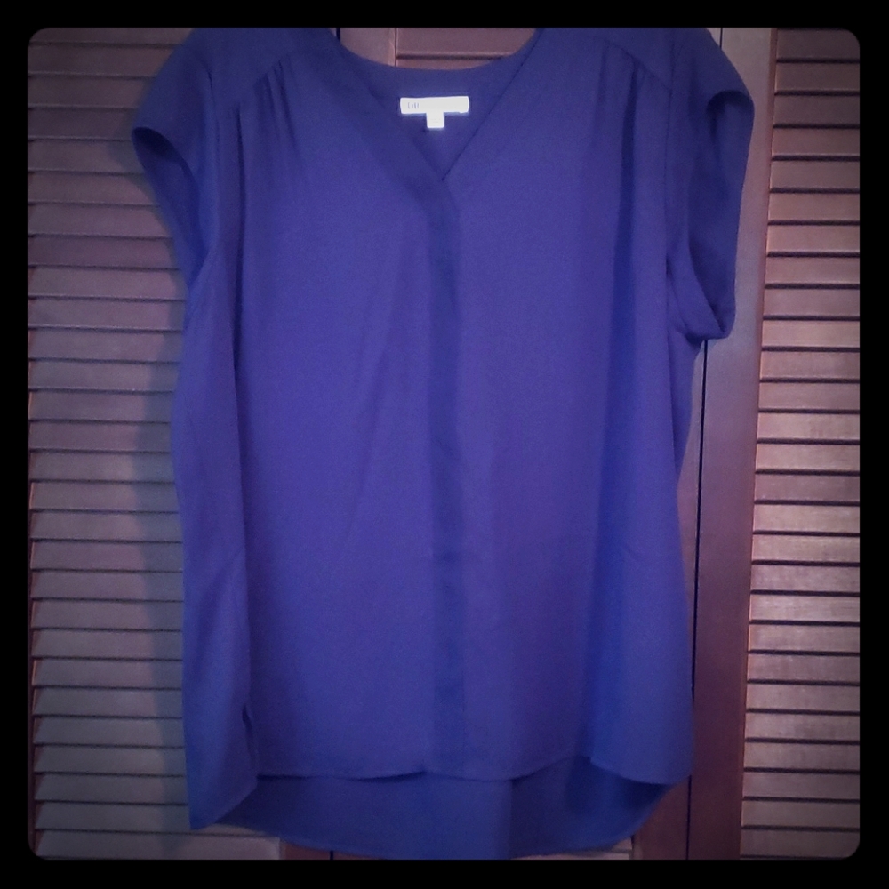 Short sleeve top Sz L